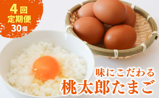 【4回定期便】タマゴ好きにはたまらない  桃太郎たまご 15個入り×2セット(ギフト用包装)  | 定期便 毎月 たまご 卵 鶏卵 たまごかけごはん たまごかけ TKG ブランド おいしい 高級 人気 おすすめ 高知県 南国市