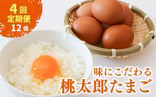 【4回定期便】タマゴ好きにはたまらない  桃太郎たまご 6個入り×2セット | 定期便 毎月 たまご 卵 鶏卵 たまごかけごはん たまごかけ TKG ブランド おいしい 高級 人気 おすすめ 高知県 南国市