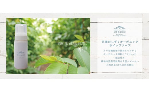 天然原料100%の天海のしずくオーガニック ホイップソープ 詰替え用 2本 | 泡 洗顔 ホイップ ソープ 詰め替え オーガニック コスメ グアバ 自家栽培 人気 おすすめ 高知県 南国市