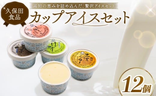 久保田アイスセットC 12個 | アイスクリーム カップアイス アイスキャンデー 詰め合わせ アイスセット スイーツ ジェラート フルーツ 久保田食品 高知県 南国市