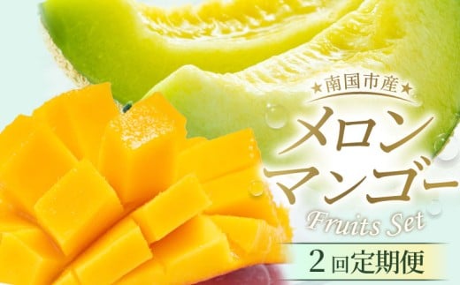 【年2回定期便】メロン・マンゴー (指定月発送)   | 定期便 マスクメロン 西島マンゴー フルーツ 果物 厳選 高級 青肉メロン 人気 デザート ギフト プレゼント 贈り物 くだもの 旬 お取り寄せ ギフト メロン 甘い メロン 高糖度メロン 先行予約 産地直送マンゴー メロン 西島園芸団地 高知県 南国市