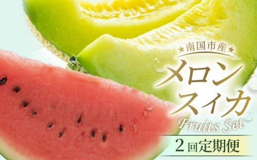 【年2回定期便】メロン・スイカ (指定月発送)  | 限定 定期便 マスクメロン 最高品スイカ フルーツ 果物 厳選 高級 青肉メロン 人気 デザート ギフト プレゼント 贈り物 くだもの 旬 お取り寄せ ギフト 甘い スイカ めろん 詰合せ 高糖度 先行予約 産地直送 すいか 高知県 南国市