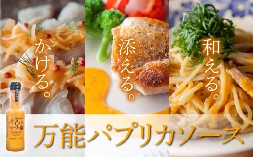 南国びじん パプリカソース 200ml×3本 万能ソース パスタ サラダ カルパッチョ チキン アレンジ ソース パプリカ 高知県 南国市