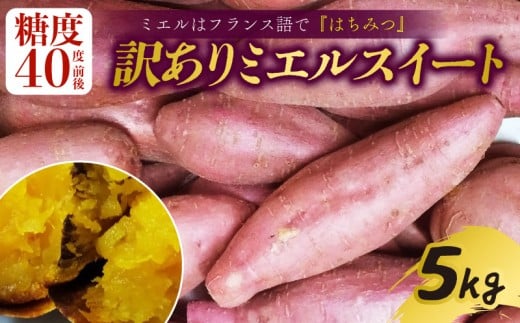 【新芋発送開始】 【訳あり】 ミエルスイート 5キロ サツマイモ 芋 いも ミエルスィート おやつ スイーツ いも天 芋天 焼き芋 焼いも 焼芋 やきいも 高知県 南国市
