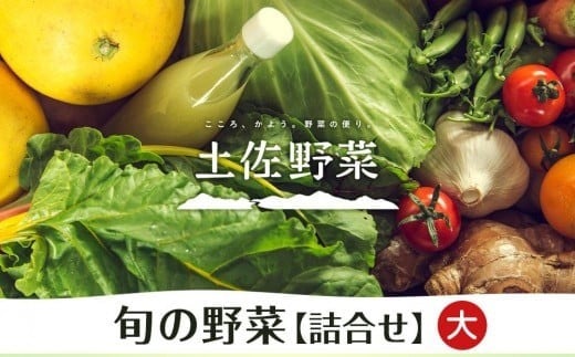 【土佐野菜】旬の野菜の詰め合わせ 大 | 野菜セット 新鮮 野菜 人気 季節の野菜 おすすめ 高知県 南国市