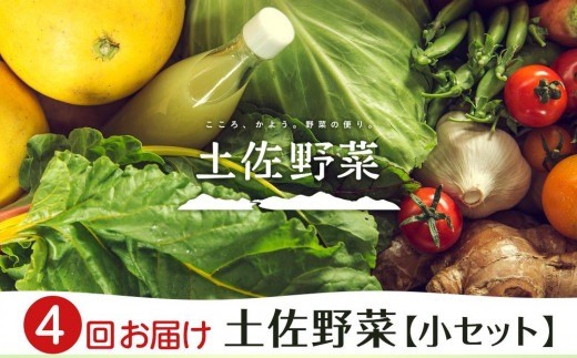 『定期便 全4回』【土佐野菜】旬の野菜の詰め合わせ 小セット | 野菜セット セット新鮮 野菜 毎月 人気 おすすめ 高知県 南国市