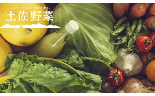 『定期便 全6回』無農薬生姜200gと旬の野菜の詰め合わせ【土佐野菜】 | 野菜セット セット 野菜定期便 新鮮 野菜 毎月 人気 おすすめ 高知県 南国市