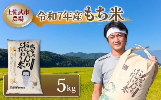 令和7年度 もち米 5キロ 数量限定 減農薬栽培 餅米 もちごめ 白米 低化学肥料 高知県 南国市