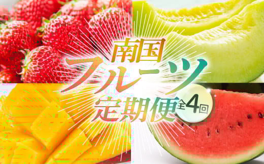 【年4回 旬のフルーツ定期便】季節のフルーツセット|イチゴ いちご スイカ すいか マンゴー まんごー メロン めろん 果物 フルーツ 定期便 ふるーつ定期便 果物定期便 旬 夏フルーツ 秋フルーツ 冬フルーツ くだもの 贈答 ギフト 人気 おすすめ 西島園芸団地 高知県 南国市