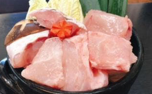 【幻の天然クエ直送】クエ鍋用400g【魚 魚介 高級  人気 おすすめ 高知県 南国市】