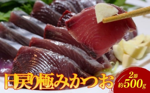 もちもち食感極みかつお刺身250g×2節 鰹 かつお 新鮮 魚介 海鮮 切身 刺身 刺し身 新鮮 魚 魚介 極み 高級 贈答用 人気 おすすめ 高知県 南国市
