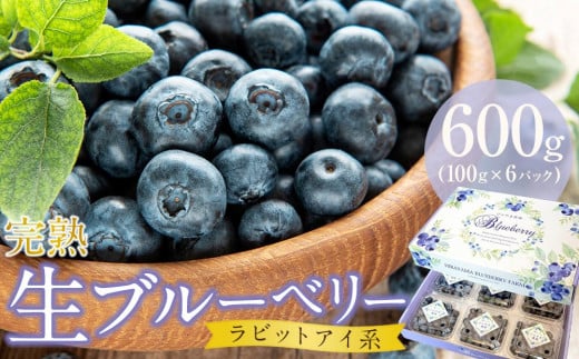 【農家直送】完熟生ブルーベリー（ラビットアイ系）600g（100ｇ×6パック） | 2026年発送 ブルーベリー フルーツ 果物 厳選 人気 デザート ギフト プレゼント 贈り物 くだもの 旬 甘い 先行予約 産地直送 小分け 冷蔵 期間限定 季節限定 おすすめ 高知県 南国市