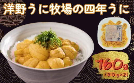 【令和8年発送】先行予約 洋野うに牧場の四年うに 80g×2パック ミョウバン不使用 無添加 北三陸 塩水うに 天然 生うに 雲丹 キタムラサキウニ