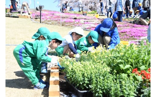 ８．笑顔を咲かせる花のまち協働づくりに関する事業
