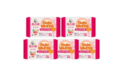 ＜桐灰小林製薬＞命の母カイロ(貼るタイプ)10個入×5個【1561662】