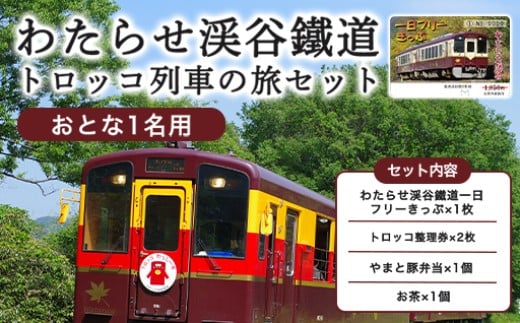わたらせ渓谷鐵道「トロッコ列車の旅セット」 ※おとな1名用