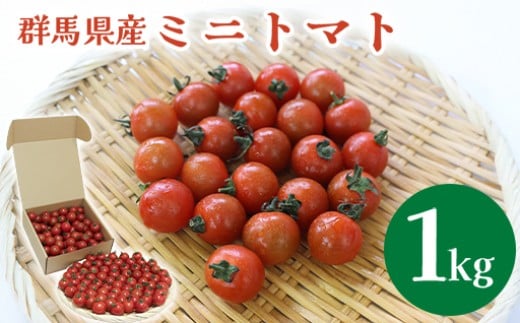 ミニトマト1kg【10月以降順次発送】