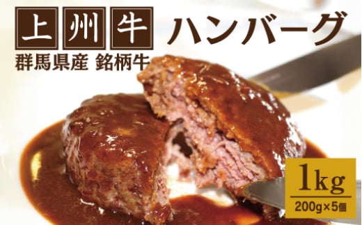 上州牛ハンバーグ1kg（200g×5個）