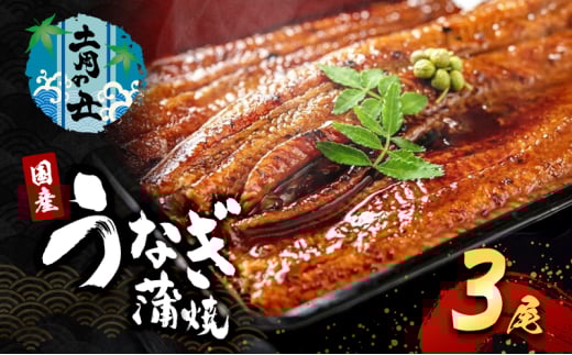 2026先行予約【7月発送】 国産うなぎ蒲焼 3尾 (720g～750g) 国産 うなぎ ウナギ 鰻 国産うなぎ 国産鰻 うなぎの蒲焼 鰻の蒲焼 うなぎの蒲焼き 鰻の蒲焼き 蒲焼き 惣菜 魚 魚介 魚介類 大阪 大阪府 岸和田市 [№5385-0612]