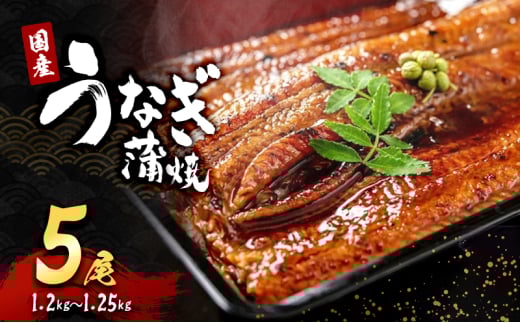 「国産うなぎ蒲焼」5尾(1.2kg～1.25kg)[№5385-0627]