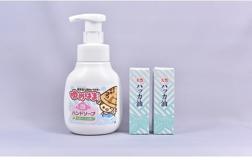 三共油脂 ハッカ油スプレーとゆめはまちゃんハンドソープセット a*54