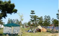 ④スポーツの振興や健康増進に関する事業