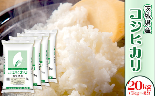 554 こしひかり 20kg 5kg × 4袋 全農 茨城 パールライス コシヒカリ 令和6年