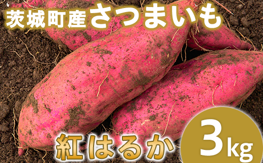 234-1茨城町産紅はるか3kg(さつまいも)【2025年11月中旬頃より発送予定】