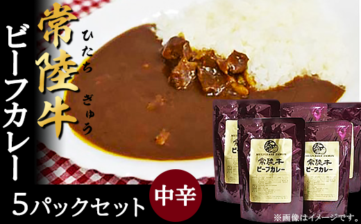 267常陸牛ビーフカレー5パックセット(中辛)