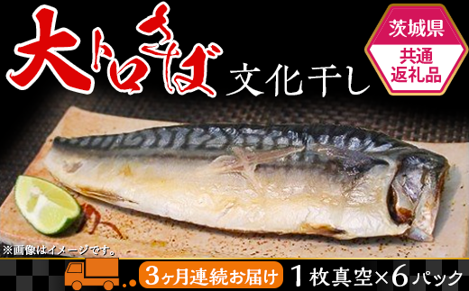 498【茨城県共通返礼品/神栖市】大トロさば文化干し【3ヶ月連続お届け】