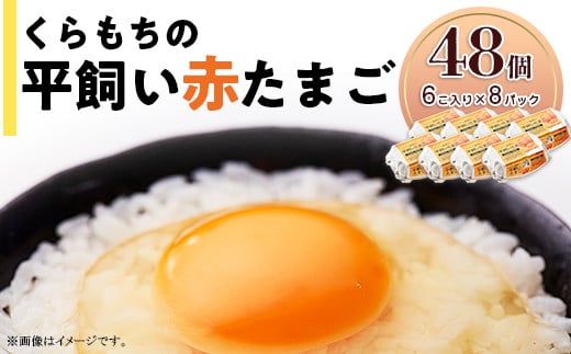356 たまご 48個 8パック 小分け 新鮮 赤 玉子 卵 タマゴ