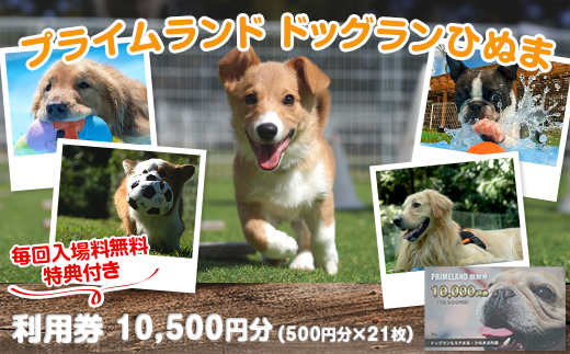 358 プライムランド ドッグランひぬま 利用券 10,500円分 毎回入場料無料特典付き