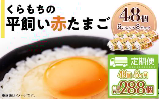 456 たまご 48個 8パック 定期便 6カ月 計288個 小分け 新鮮 赤 玉子 卵 タマゴ くらもちの農場 平飼い