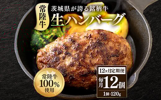 生ハンバーグ120g×12個 常陸牛 100％ 【12ヶ月連続お届け】 519