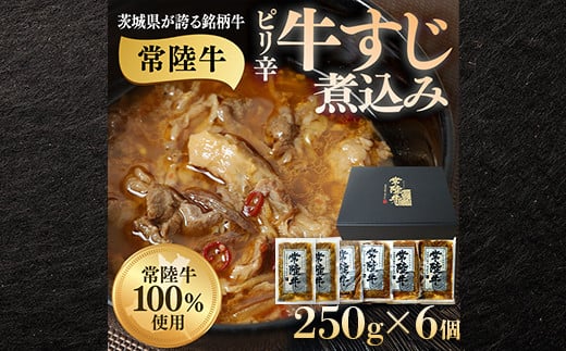 牛すじ煮込み 1.5kg 250g×6個 ピリ辛 茨城県産 ブランド牛 常陸牛 使用 523