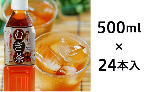 胎内高原のむぎ茶 500ml×24本入 1箱(0113)