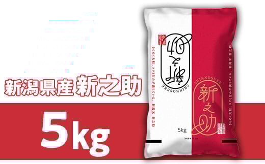 23-S51R6B新潟県胎内市産 新之助5kg