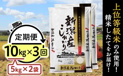 31-K103【3ヶ月連続お届け】新潟県産コシヒカリ10kg(5kg×2袋)