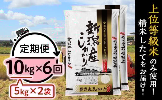 31-K106【6ヶ月連続お届け】新潟県産コシヒカリ10kg(5kg×2袋)