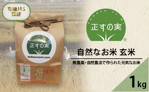 49-01自然なお米(玄米)1kg【正すの実】