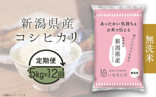 27-M5ZB【無洗米】新潟県産コシヒカリ5kg【12ヶ月連続お届け】