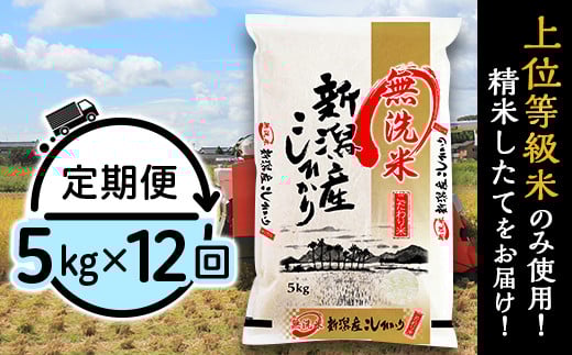 31-M5Z【無洗米】新潟県産コシヒカリ5kg【12ヶ月連続お届け】