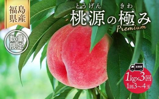 ◆2026年夏発送◆桃源の極み~産直・桃・約1kg×3回~ ※離島への配送不可 ※2026年7月上旬~9月上旬頃に順次発送予定 | 先行予約 予約 数量限定 桃 もも モモ 果物 くだもの フルーツ 詰め合わせ 福島 ふくしま