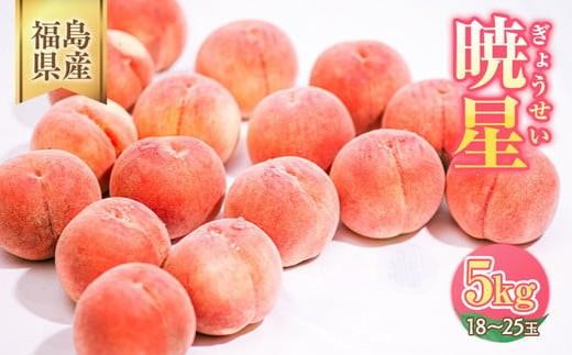 ◆2026年夏発送◆暁星～産直・桃・約5kg～ ※離島への配送不可 ※2026年7月上旬～7月下旬頃に順次発送予定 ｜ 先行予約 予約 数量限定 桃 もも モモ 果物 くだもの フルーツ 詰め合わせ 福島 ふくしま