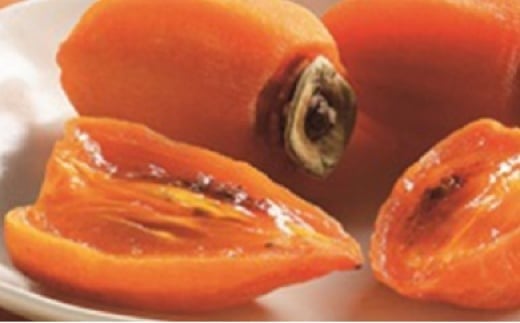 大地と太陽の恵み「あんぽ柿（蜂屋柿）」9～12玉【国見町産】※沖縄・離島への配送不可　※2026年1月上旬～2月上旬頃に順次発送予定