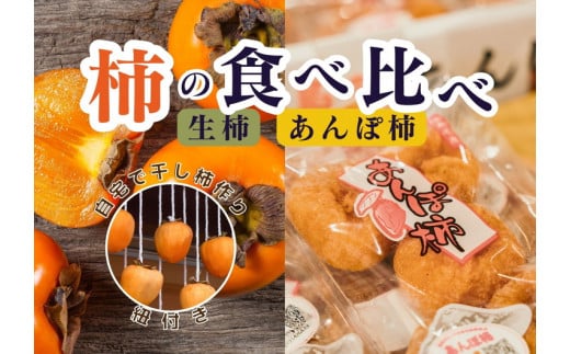 【2回定期便】【季節限定】柿の食べ比べ 生柿 りんご あんぽ柿セット ※沖縄・離島への配送不可 ※2025年12月上旬～2026年2月下旬頃に順次発送予定
