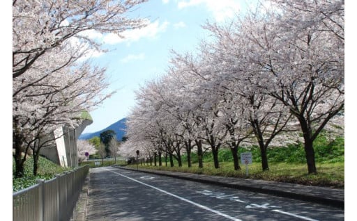 魅力あふれる地域づくり