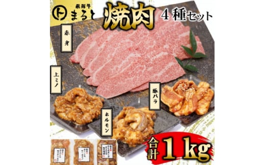 ＜飛騨牛＞焼肉4種B-1セット　赤身肉と味付けホルモンなど　合計1kg【1616670】