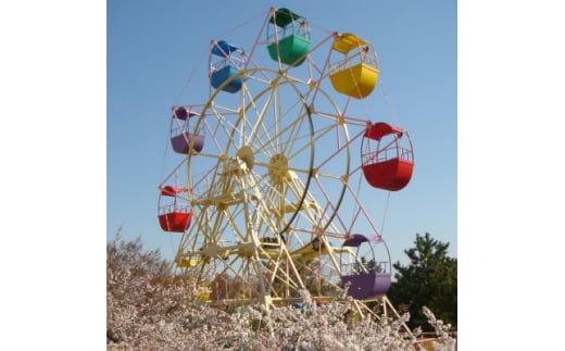 養老ランド 入場券　大人子供共通1枚　乗り物券(2,200円分)セット　養老町　遊園地【1291221】