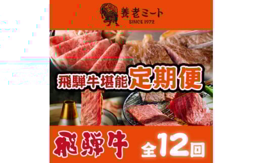 ＜毎月定期便＞月替わりで色々な飛騨牛を楽しめる全12回_ 飛騨牛 牛肉 定期便 肉 黒毛和牛 国産牛 ブランド牛 霜降り ステーキ すきやき すき焼き しゃぶしゃぶ 切り落とし 切り落し 焼肉 BBQ ギフト プレゼント 自宅用 【4051412】